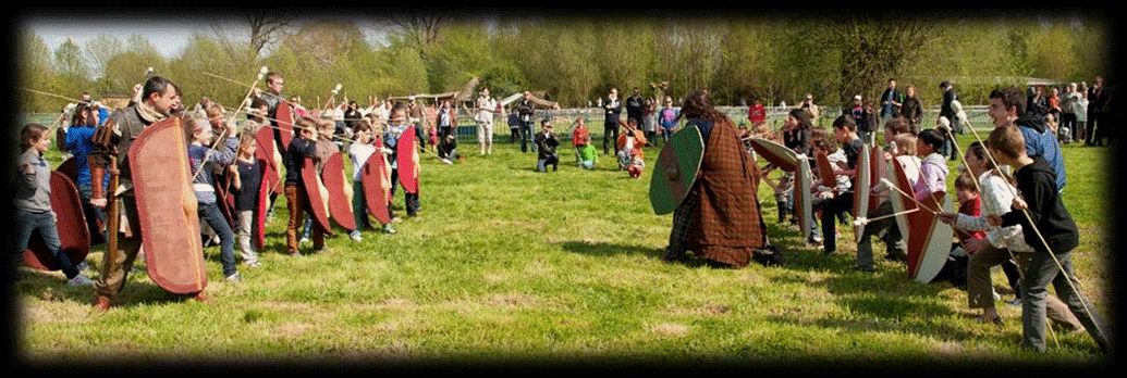 guerre des gaules